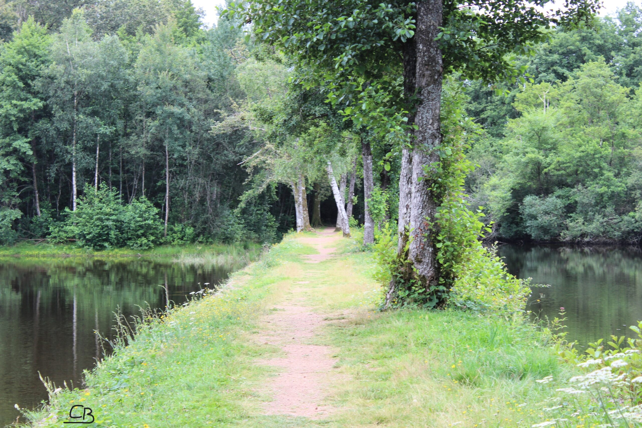 On s’est penchés sur les bienfaits de la nature sur notre santé et on vous livre la conclusion : il vaut mieux rester connecté… à la nature qu’à son smartphone !